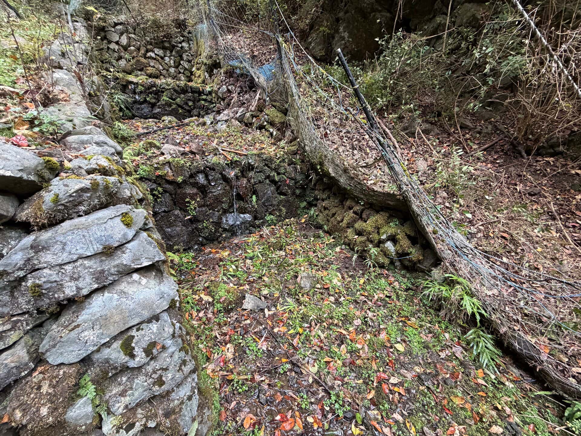 苔むした石垣が残る放棄されたわさび田跡