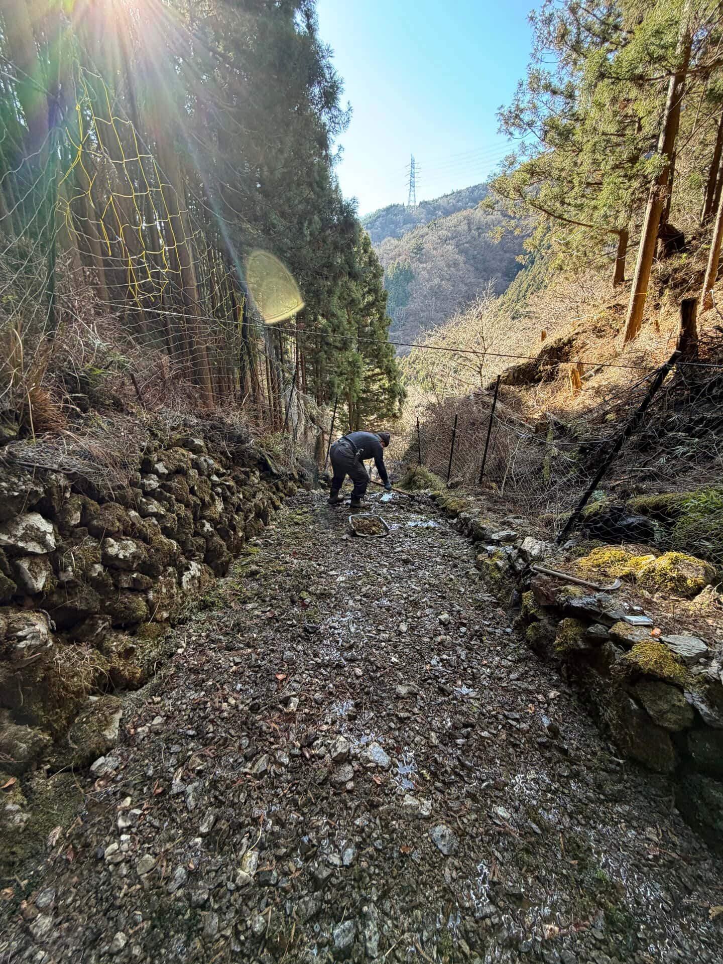 朝日の差す中、崩れた石垣を積み直す作業の姿