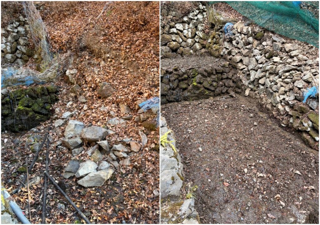 受け継いだ沢──大師匠が亡き父と作ったわさび田を託された日