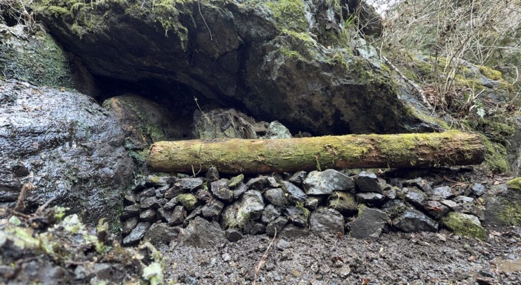 道から見える小さなわさび田──「見える復興」を始める理由