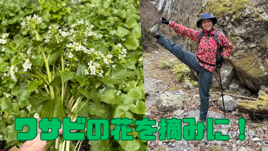 わさびの花は、いまだけ─苗の植え付け&春を見つけに山へ